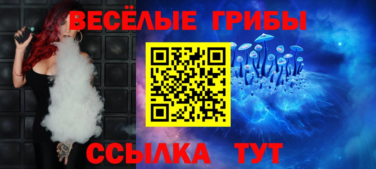 Псилоцибиновые грибы прущие грибы  Вход с VPN  цены   Сатка 